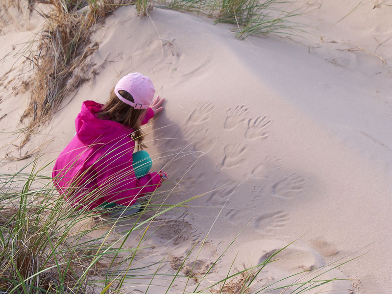 playing in the sand ludington beach